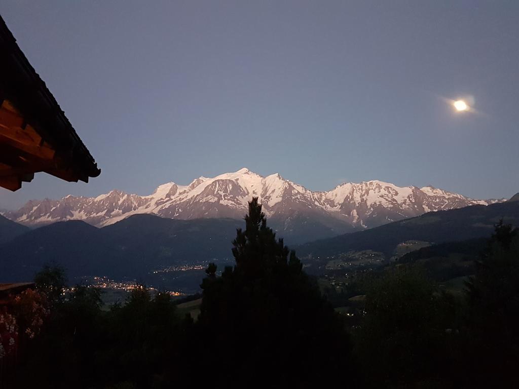 הוילה סלאנש La Joubarbe Au Balcon Du Mont-Blanc מראה חיצוני תמונה